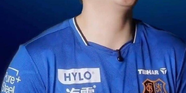 队友起外号！樊振东让小镇搜索量暴增10倍，在德甲官方海报C位